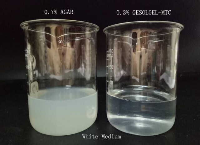 GESOLGEL® MTC